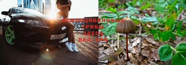 гашиш Абаза